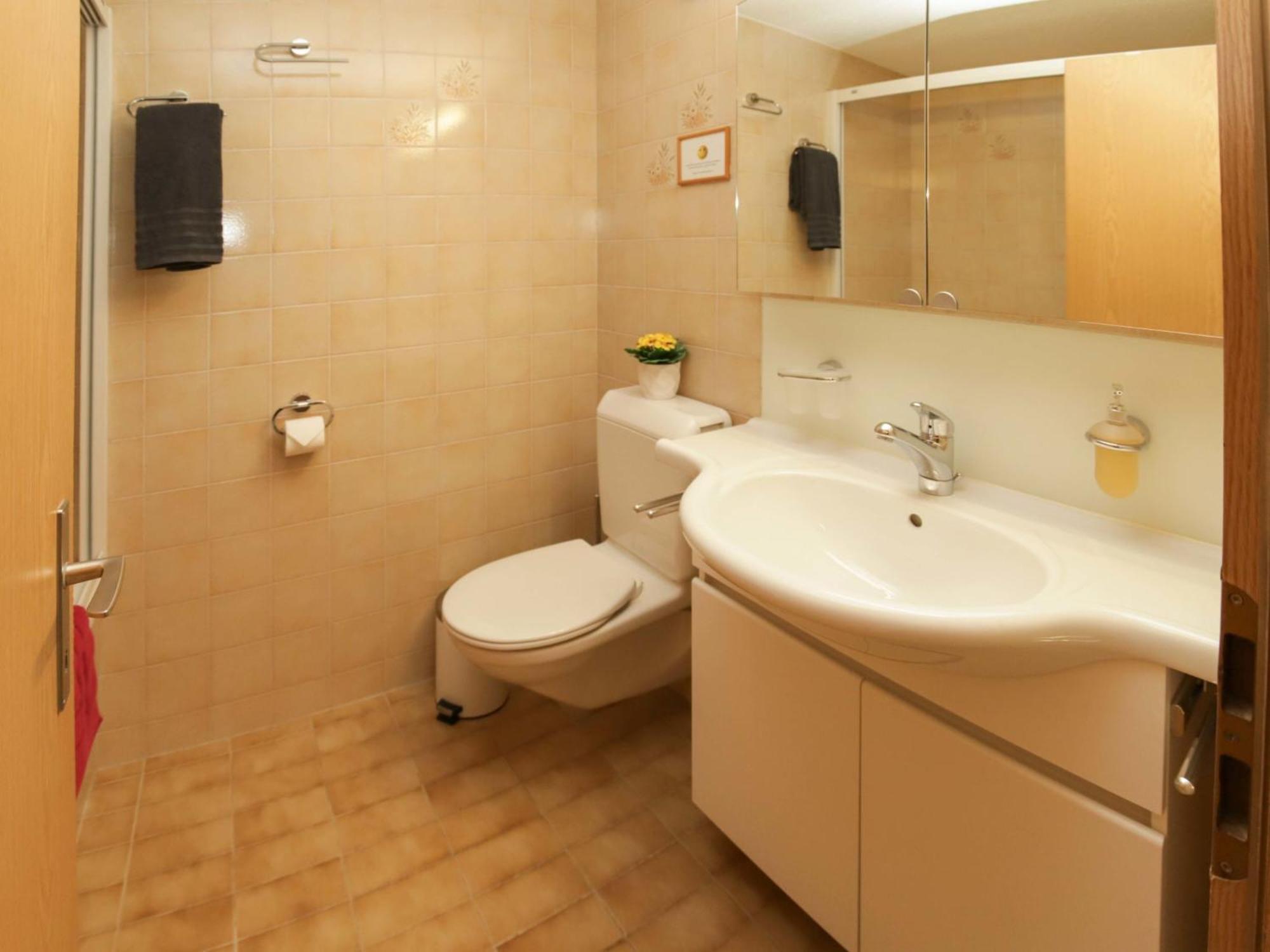Apartment Belmi By Interhome Zweisimmen Ngoại thất bức ảnh